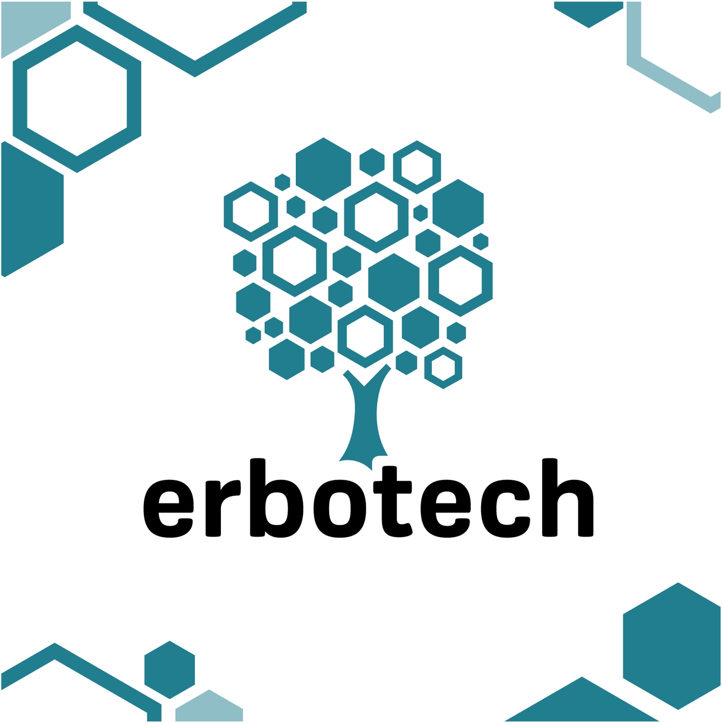 Tintura madre analcolica Spaccapietra 100ml