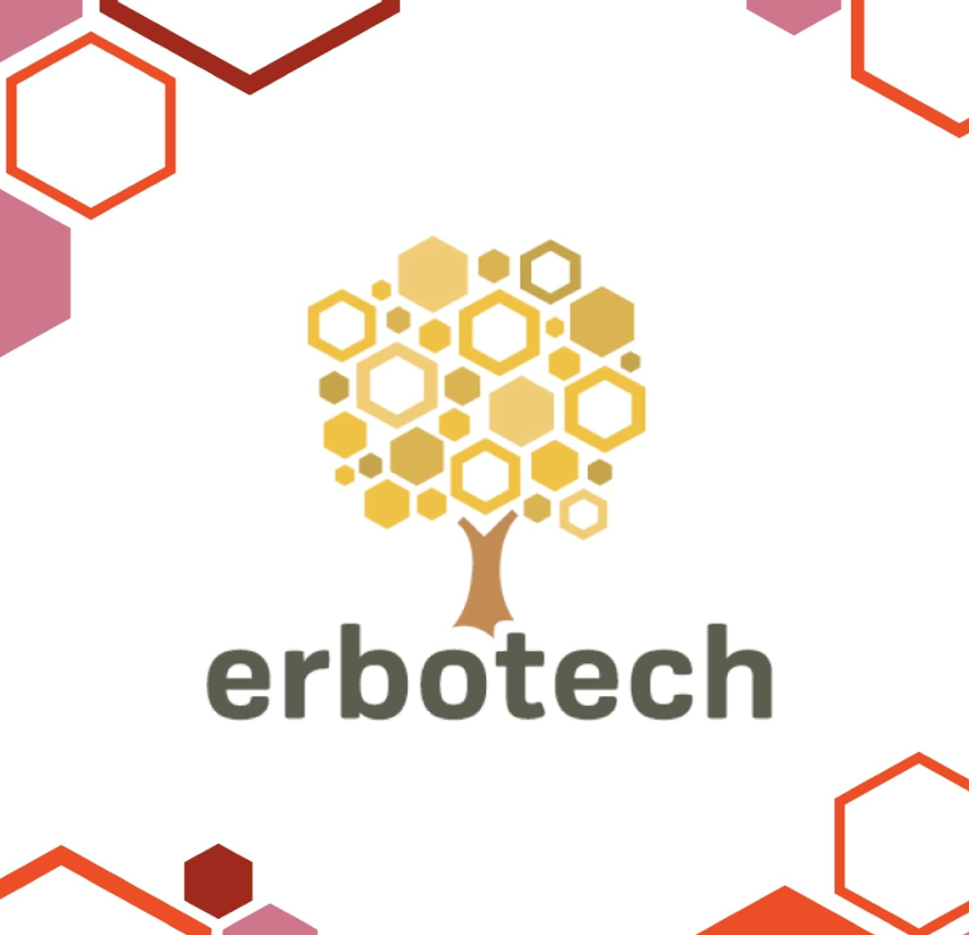 Bacche di Goji disidratate