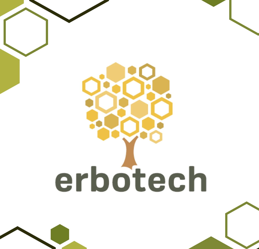 Tè matcha BIO grado premium