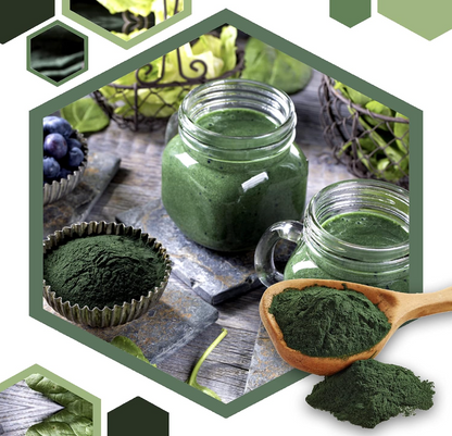 Spirulina BIO in polvere